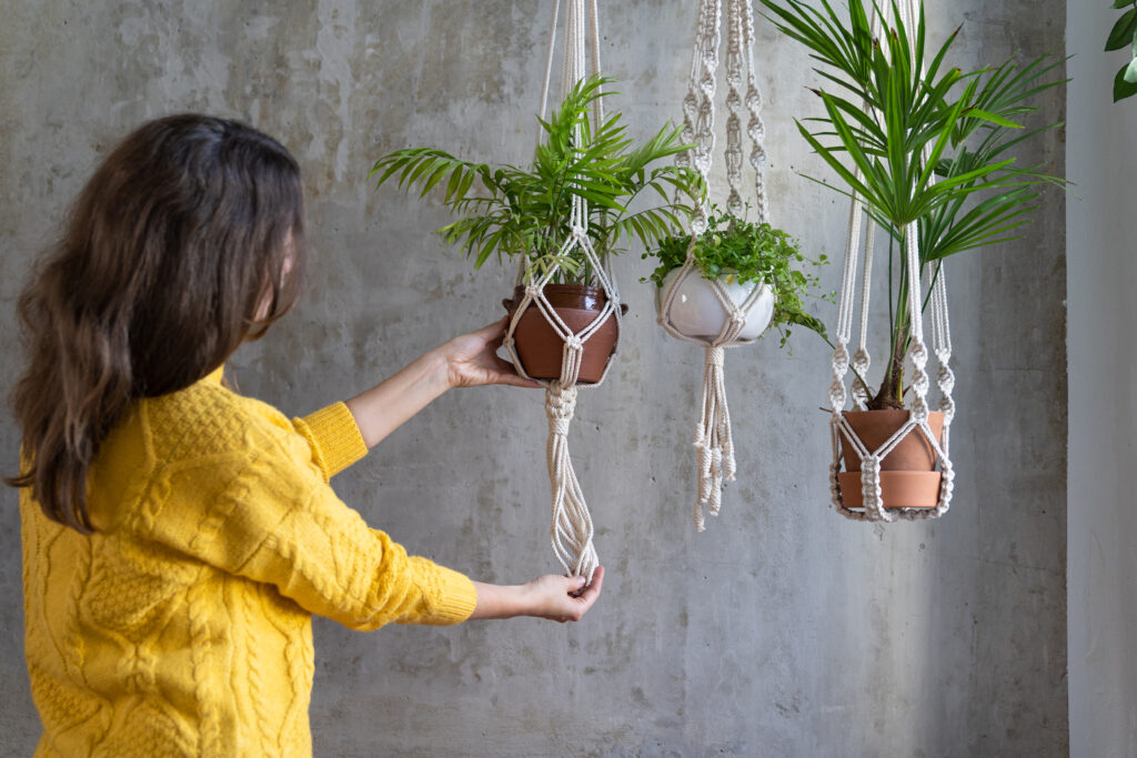 vasos-decorativos-para-plantas