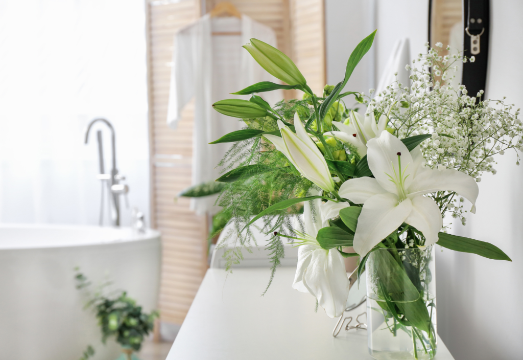 Vasos Decorativos para Banheiro