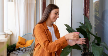 Como Molhar Plantas com Borrifador: Técnicas e Benefícios Eficazes