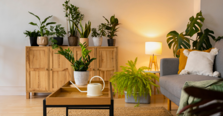 Biofilia na Decoração: Conecte-se à Natureza Dentro de Casa