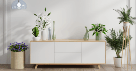 Plantas na decoração: como trazer vida e frescor para seus ambientes